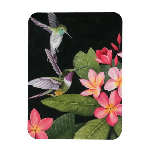 Hummingbirds In the Plumeria Magnet