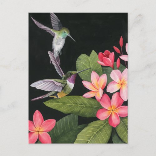 Hummingbirds In the Plumeria Postcard