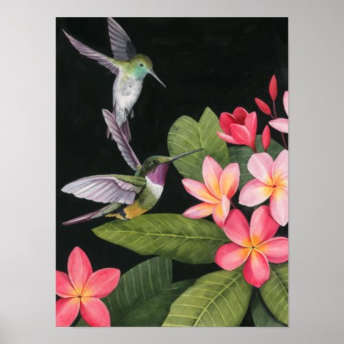 Hummingbirds In the Plumeria Poster