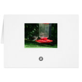 Hummingbirds Joy Cards (Back Horizontal)