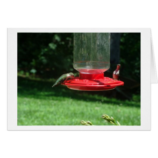 Hummingbirds Joy Cards (Front Horizontal)