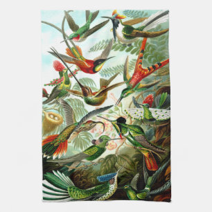 Hummingbirds Kitchen Towel