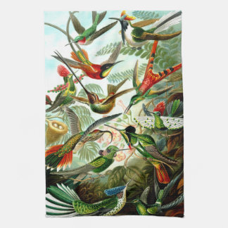 Hummingbirds Kitchen Towel