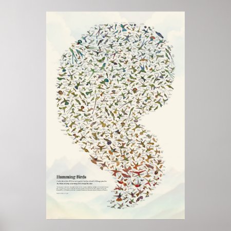 Hummingbirds - Light Poster