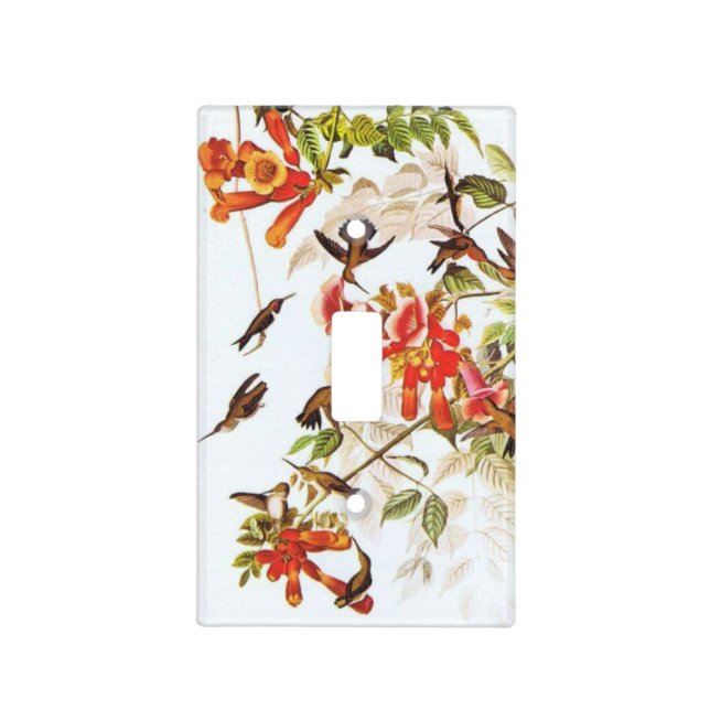 Hummingbirds Light Switch Cover (Front)