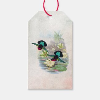 Hummingbirds Lotus Pond Brilliant Gift Tag