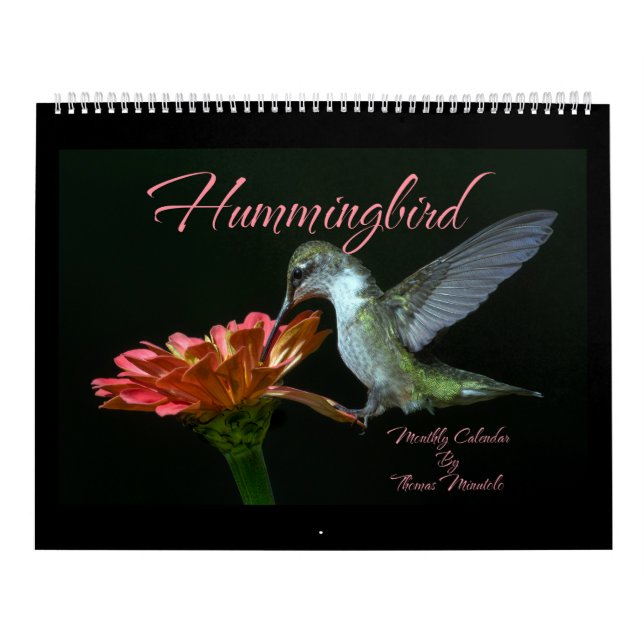 Hummingbirds  Monthly Calendar By Tom Minutolo (Cover)