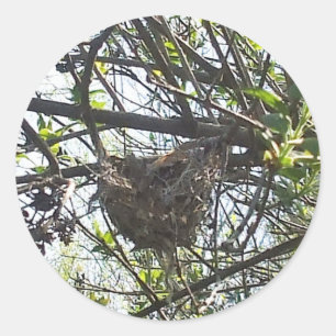 Hummingbird's Nest in Lilac Shrub Square Sticker