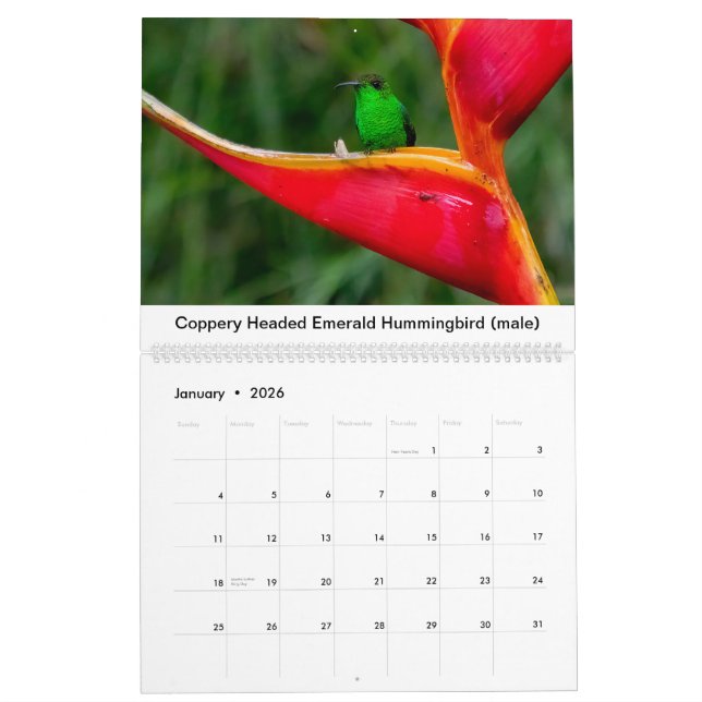 Hummingbirds of Costa Rica Calendar (Jan 2026)