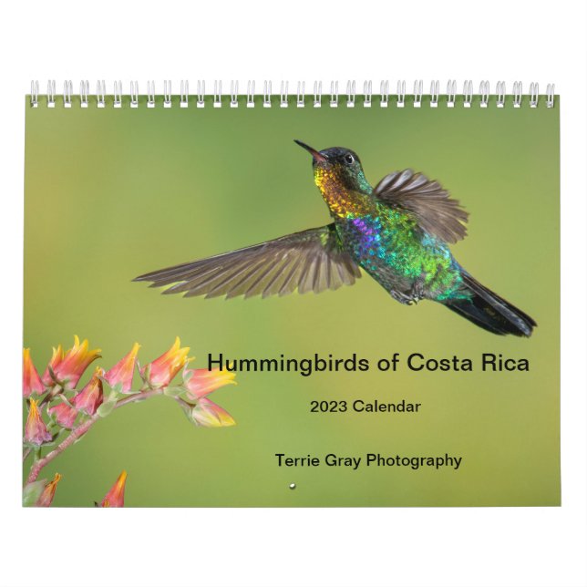 Hummingbirds of Costa Rica Calendar (Cover)