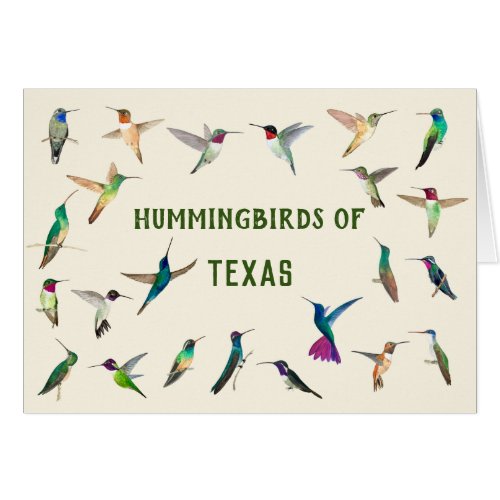 Hummingbirds of Texas