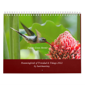Hummingbirds of Trinidad & Tobago 2022 Calendar
