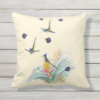 Hummingbirds on Bromeliads Outdoor Pillow 16x16