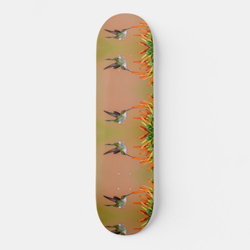 Hummingbirds pattern skateboard