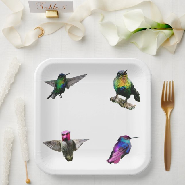 Hummingbirds Plain background Paper Plates (Wedding)
