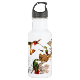 Hummingbirds Stainless Steel Water Bottle
