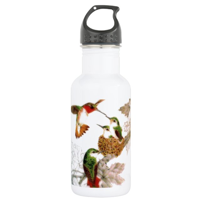 Hummingbirds Stainless Steel Water Bottle (Front)