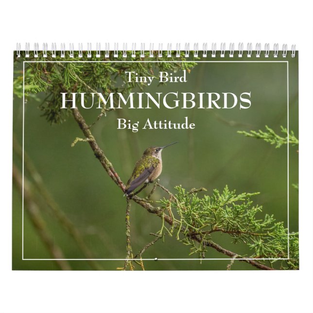  Hummingbirds Tiny Bird Big Attitude Calendar (Cover)