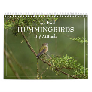  Hummingbirds Tiny Bird Big Attitude Calendar