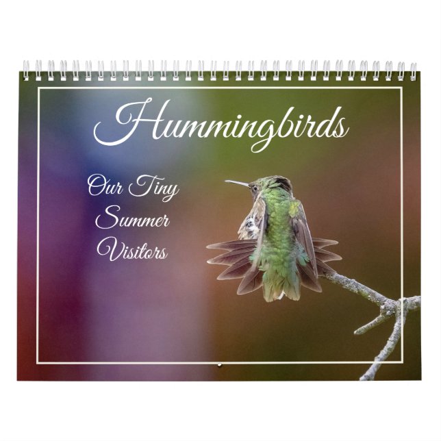 Hummingbirds, Tiny Summer Visitors Calendar (Cover)