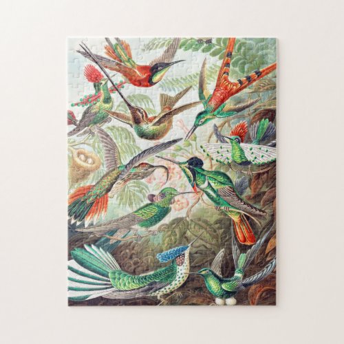 Hummingbirds Trochilidae Kolibris by Ernst Haeckel Jigsaw Puzzle