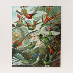Hummingbirds vintage art painting jigsaw puzzle