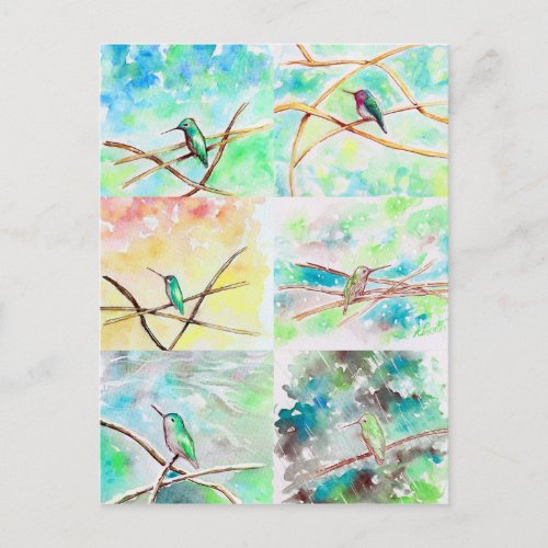 Hummingbirds Watercolor Paintings Postcard