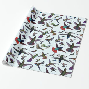 Hummingbirds Wrapping Paper