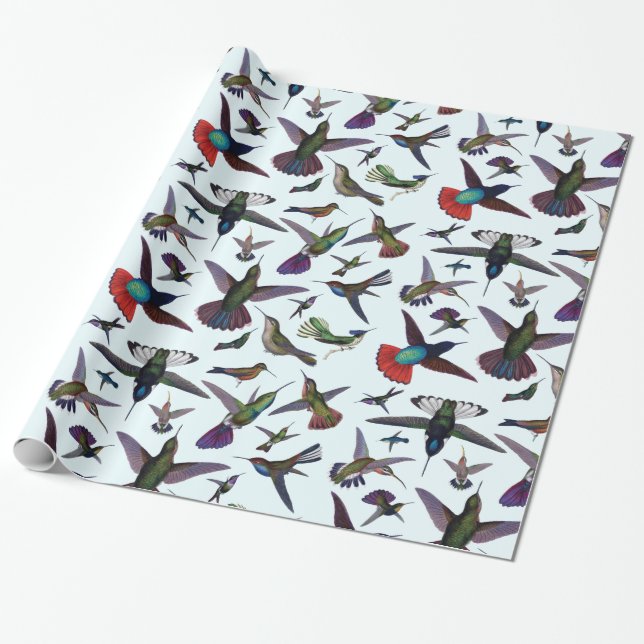 Hummingbirds Wrapping Paper (Unrolled)