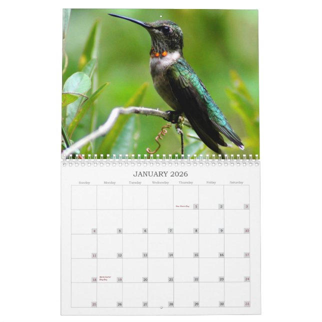 Hummingbirds Year 'Round Calendar (Jan 2026)