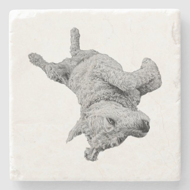 Humor at Rest Stone Coaster (Front)