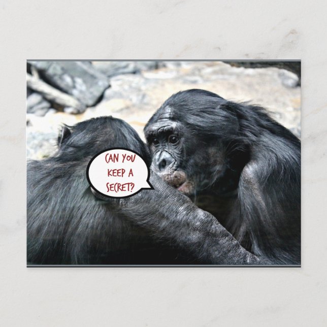 Humor - Can you keep a secret? Postcard (Front)