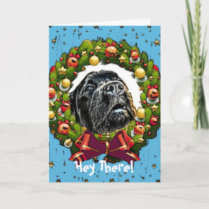 Humor Christmas Card ~Dog