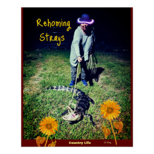Humor - Country Life -- Rehoming Strays Poster