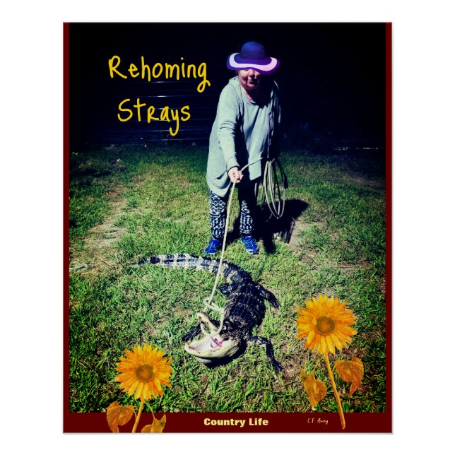Humor - Country Life -- Rehoming Strays Poster (Front)