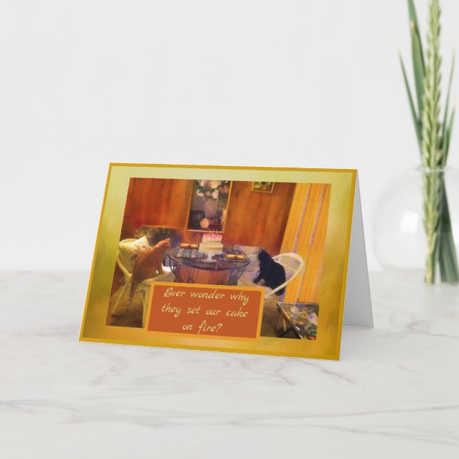 Humor Family Cats Setting the cake "on fire"  Holiday Card (Front)