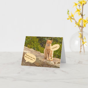 Humor/Friendship/ SURPRISE! (THERE'S NO SURPRISE)  Card