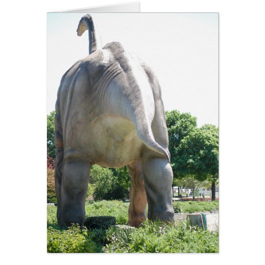 Humor/Funny Cards (Front)