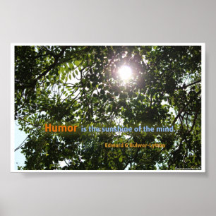 "Humor is the sunshine of the mind" Quotation Poster