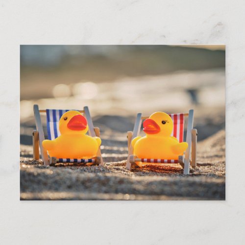 Humor _ two rubber ducks on Vacation Postcard