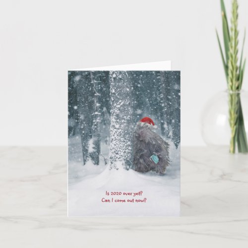 Humorous 2020 porcupine holiday card