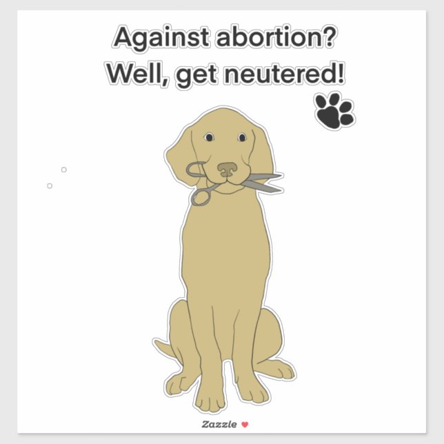 Humorous Abortion rights Sticker (Sheet)
