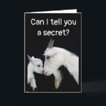 HUMOROUS "BELATED" BIRTHDAY NO BUTTS ABOUT IT! CAR CARD<br><div class="desc">THANKS FOR STOPPING BY ONE OF MY EIGHT STORES!! DO YOU FEEL THE NEED TO SEND A FRIEND OR LOVED ONE "A FUN HAPPY EVEN THO BELATED BIRTHDAY CARD* THEN THIS PAIR OF GOATS WILL HELP THEM FORGIVE YOU FOR BEING LATE FOR SURE!!!!!</div>
