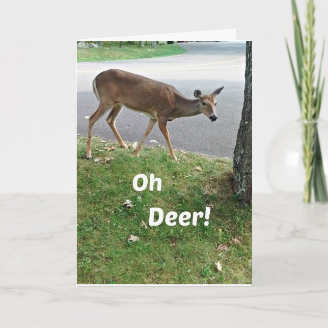 Humorous belated Birthday wishes Card (Front)