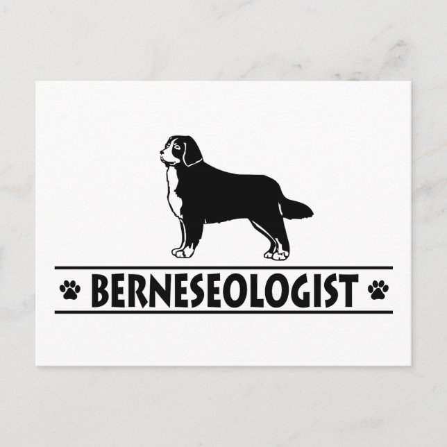 Humorous Bernese Mountain Dog Postcard (Front)