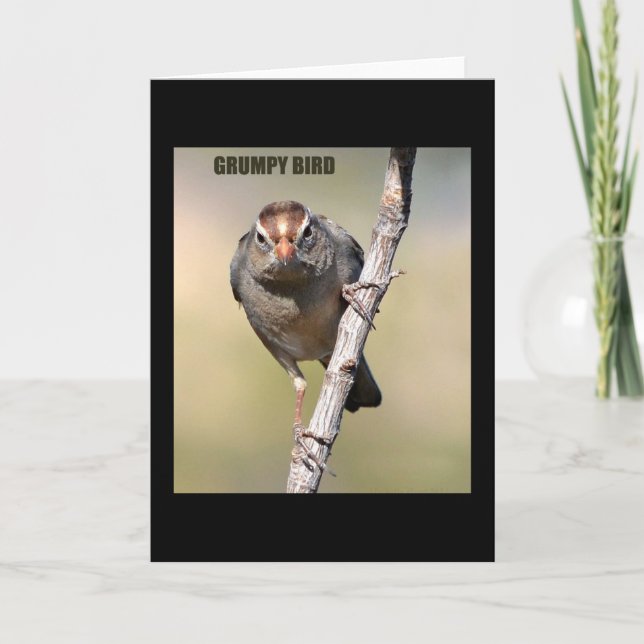 Humorous Bird Greeting Card (Front)