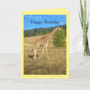 Humorous Birthday Card