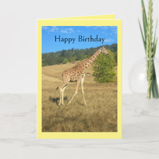 Humorous Birthday Card