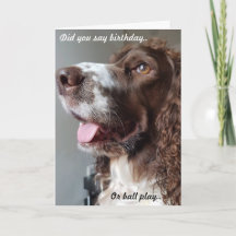 Humorous birthday card