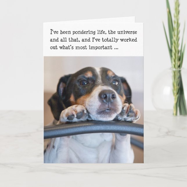 Humorous Birthday Card - Dog Pondering Life (Front)